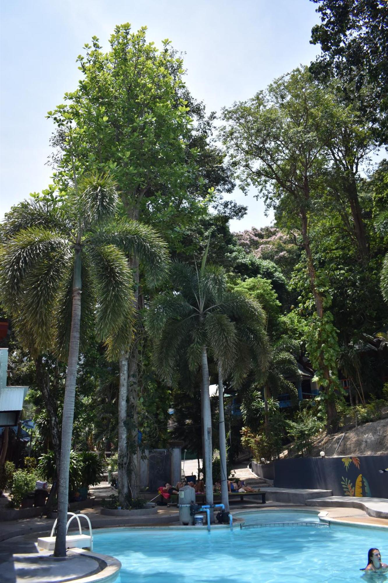 Blanco Hideout Railay - Youth Hostel 18 To 35 Only المظهر الخارجي الصورة